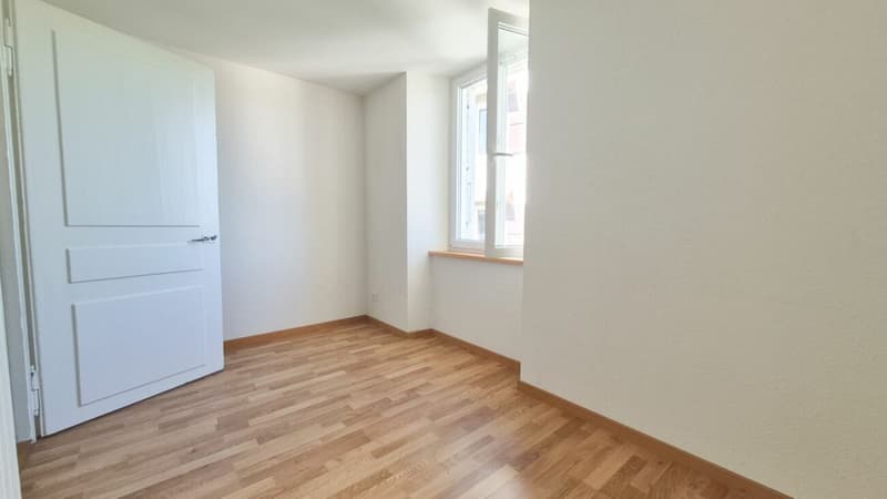 Appartamento luminoso di 3.5 locali, cucina e bagno nuovi - 1° affitto offerto (7)