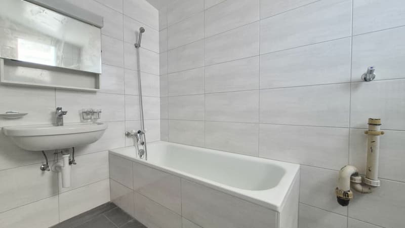 Appartamento luminoso di 3.5 locali, cucina e bagno nuovi - 1° affitto offerto (9)