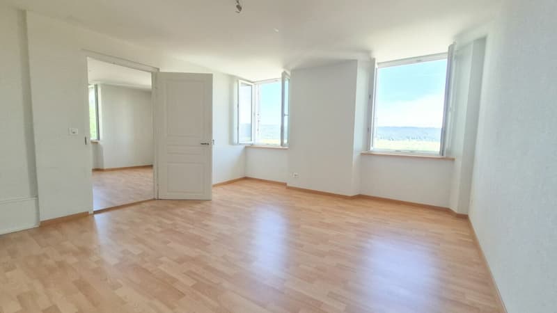 Appartamento luminoso di 3.5 locali, cucina e bagno nuovi - 1° affitto offerto (5)