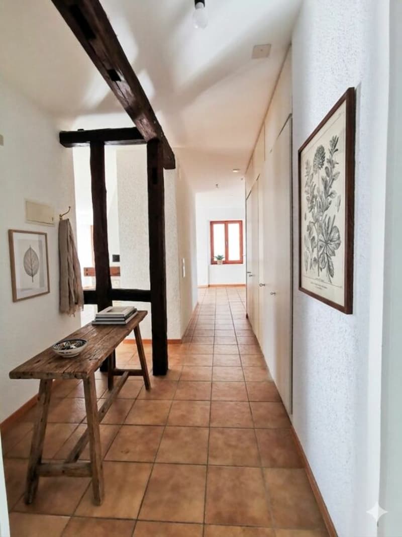 Grand appartement de 4.5 pièces avec cheminée (5)