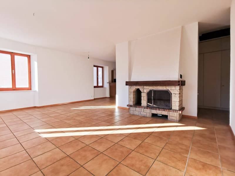 Grand appartement de 4.5 pièces avec cheminée (6)
