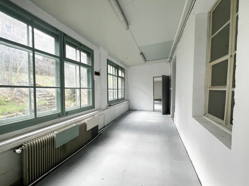 Spacious premises of approximately 220m² in the city center (6)