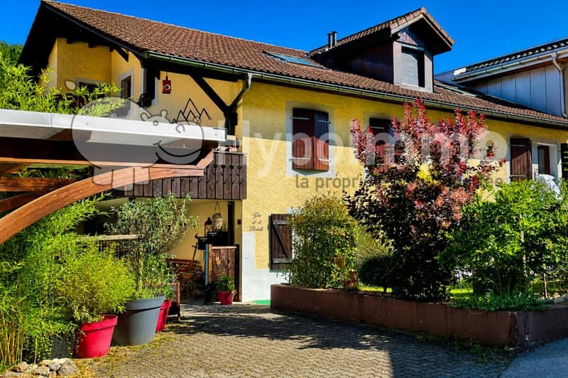 Beautiful house with 4 apartments (1)