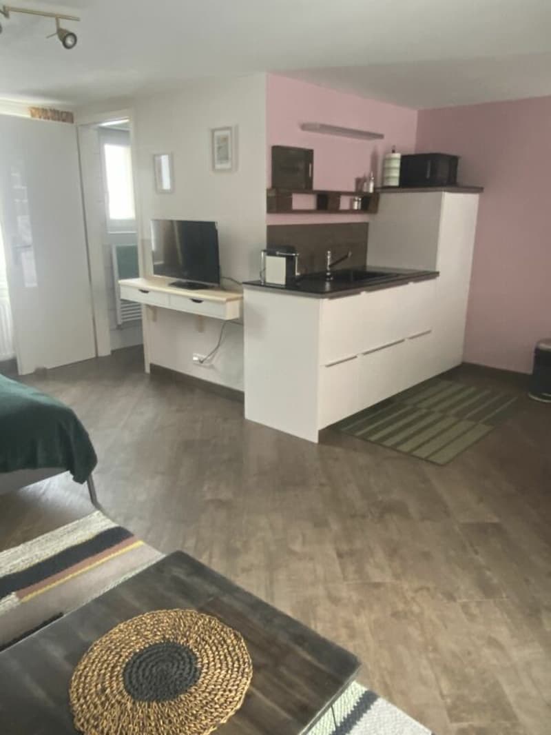 Beautiful house with 4 apartments (18)