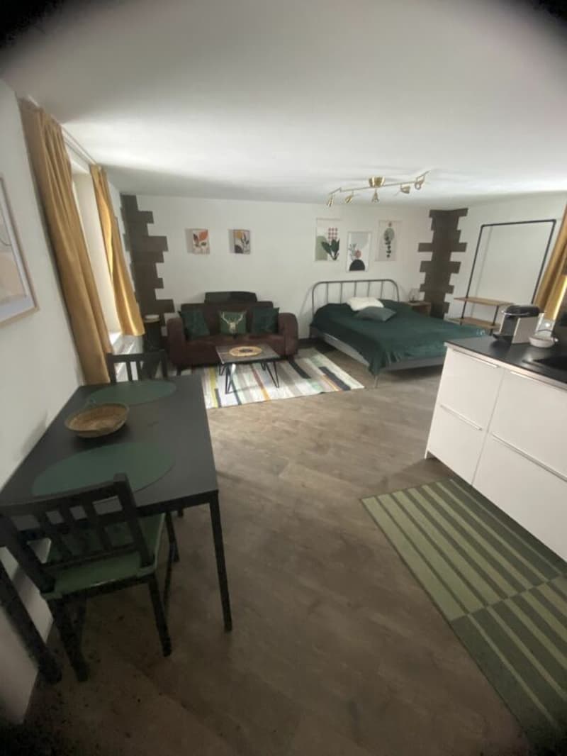 Beautiful house with 4 apartments (17)