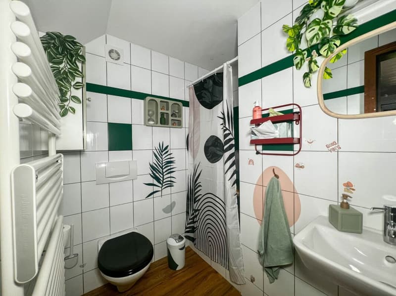 Beautiful house with 4 apartments (8)