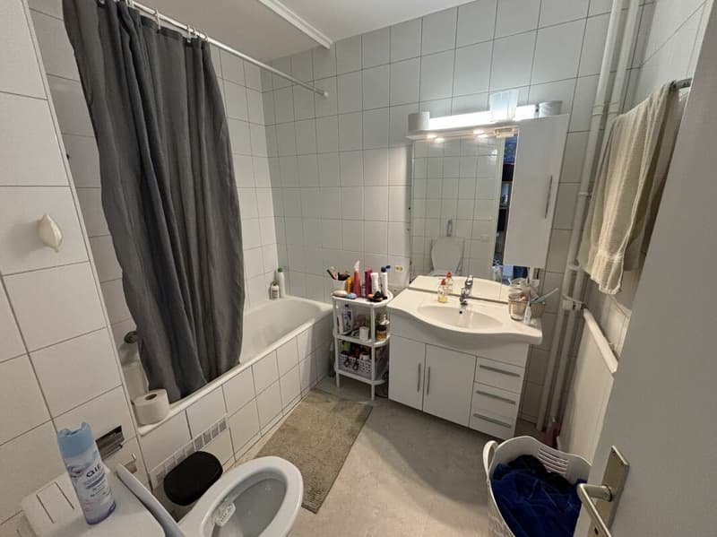 Bright and spacious 8-room apartment (15)