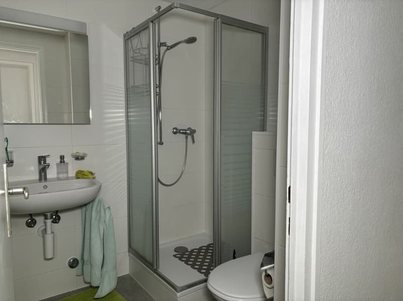 Bright and spacious 8-room apartment (7)