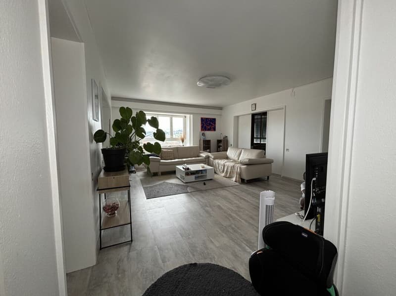 Bright and spacious 8-room apartment (9)