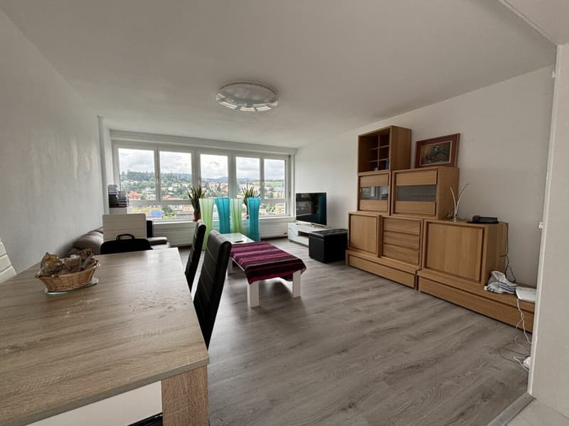 Bright and spacious 8-room apartment (5)