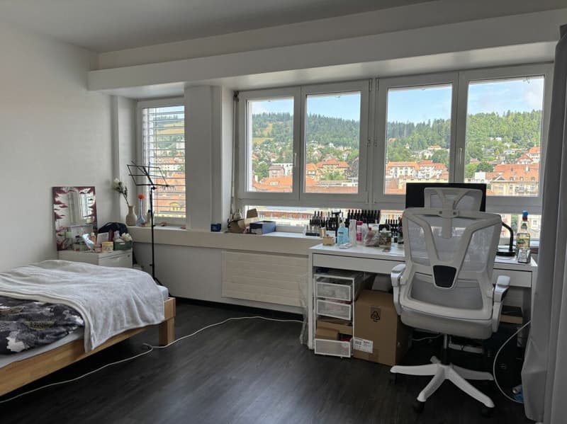Bright and spacious 8-room apartment (14)