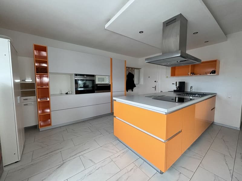 Bright and spacious 8-room apartment (2)