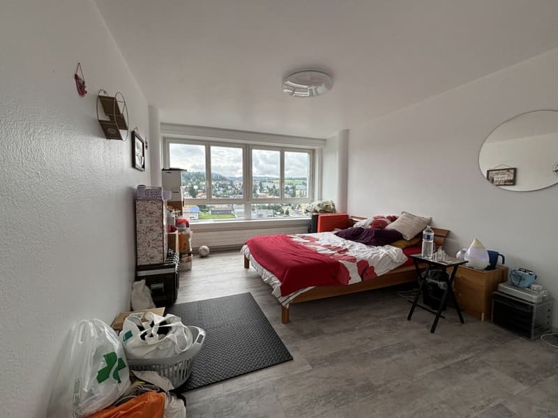 Bright and spacious 8-room apartment (13)