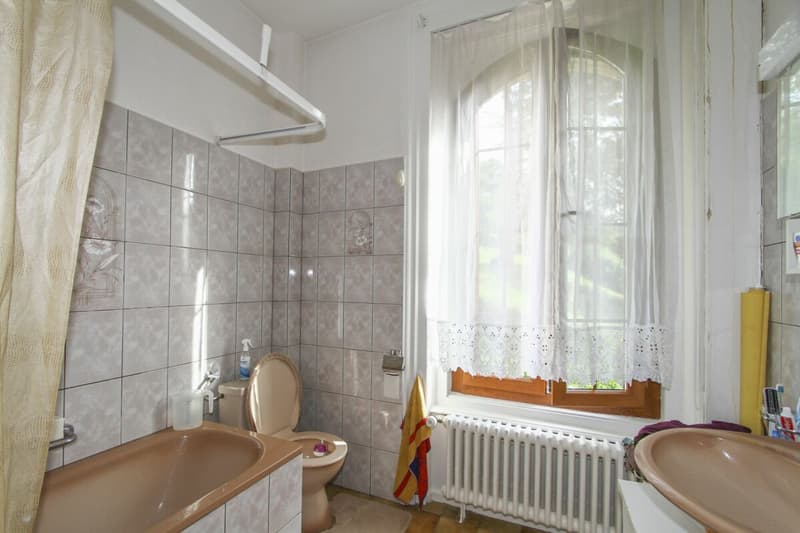 ### Character property in its green setting (14)