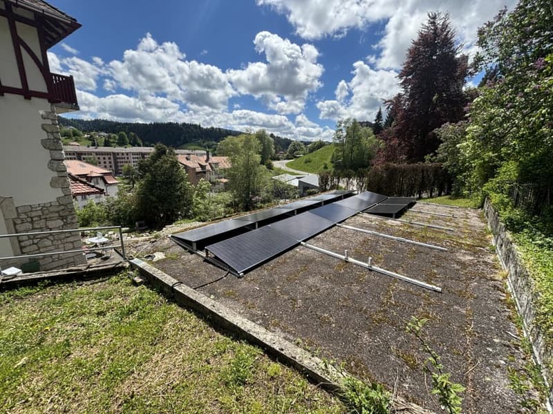 ### Character property in its green setting (21)