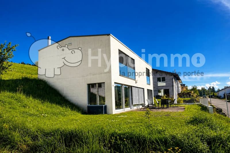 Magnificent villa with breathtaking view (1)
