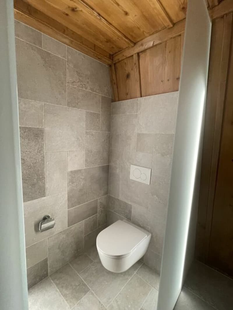 Chaleureux duplex de 3.5 pièces (8)