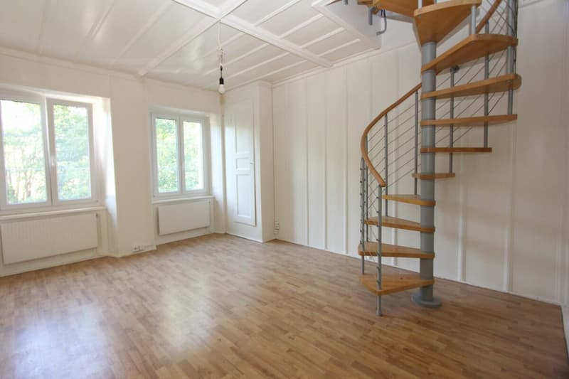 Chaleureux duplex de 3.5 pièces (10)