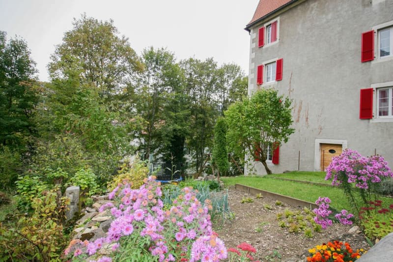 Chaleureux duplex de 3.5 pièces (13)