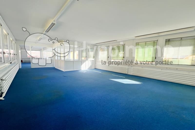 Locali in affitto di 235m2, modulabili - ideale per laboratorio-ufficio (1)