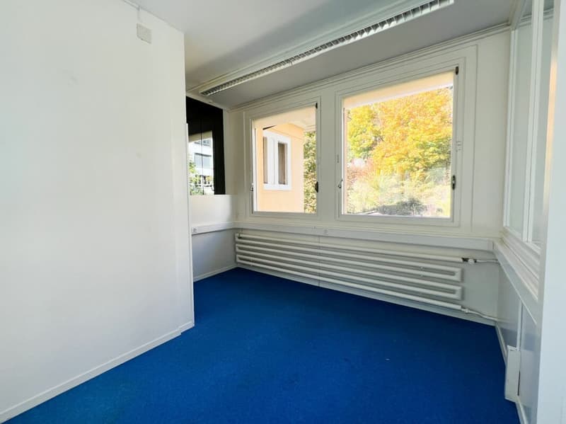 Locali in affitto di 235m2, modulabili - ideale per laboratorio-ufficio (2)