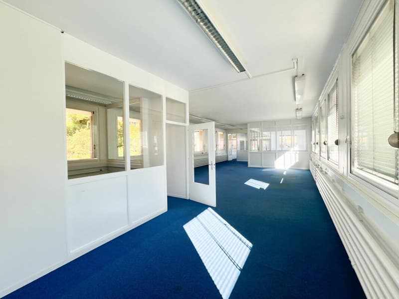 Locali in affitto di 235m2, modulabili - ideale per laboratorio-ufficio (4)