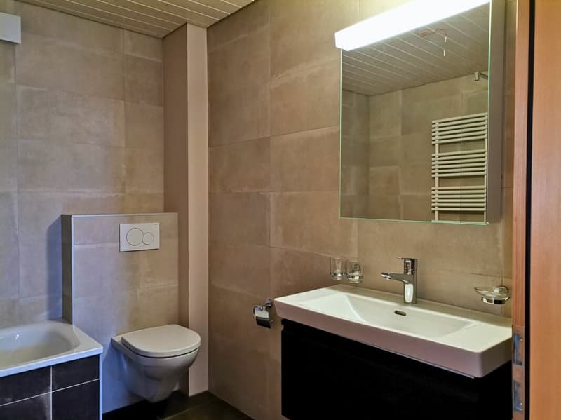 Beautiful 5-room apartment with open view (11)