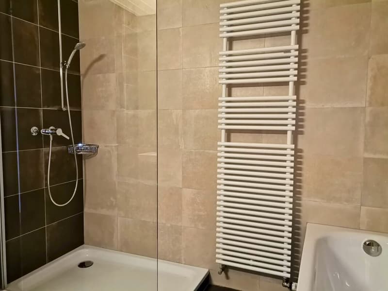 Beautiful 5-room apartment with open view (13)