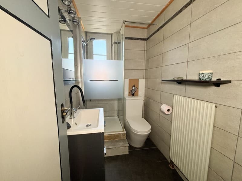 Charming 3.5-room apartment in a quiet neighborhood (10)