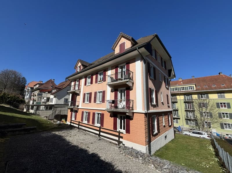 Charming 3.5-room apartment in a quiet neighborhood (11)