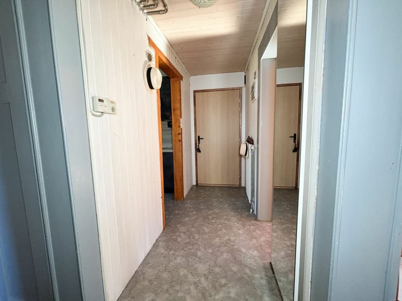 Charming 3.5-room apartment in a quiet neighborhood (5)