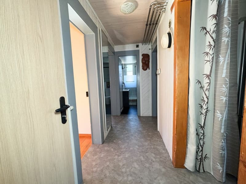 Charming 3.5-room apartment in a quiet neighborhood (4)