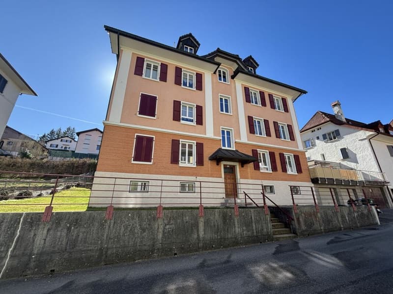 Charming 3.5-room apartment in a quiet neighborhood (12)