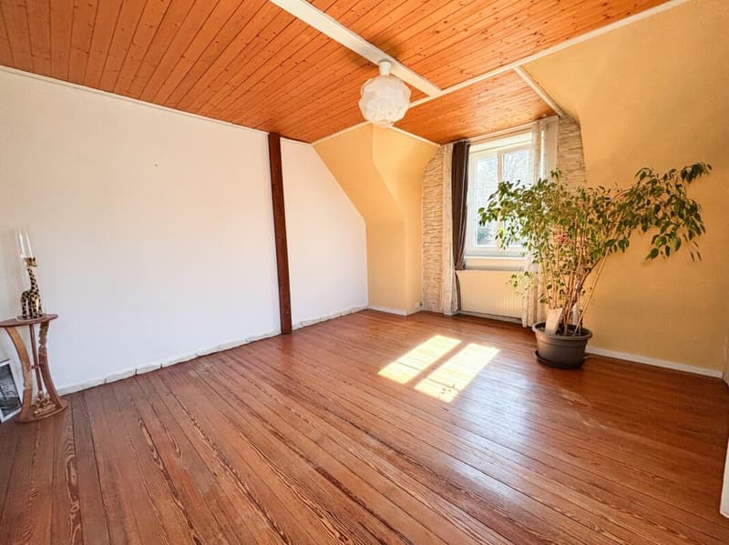 Charming 3.5-room apartment in a quiet neighborhood (3)
