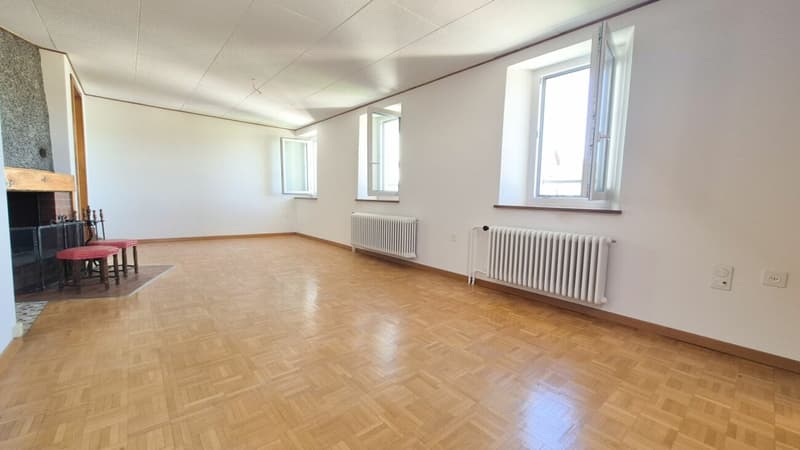 Cozy 2.5-room apartment, new kitchen and bathroom - 1st rent free (4)