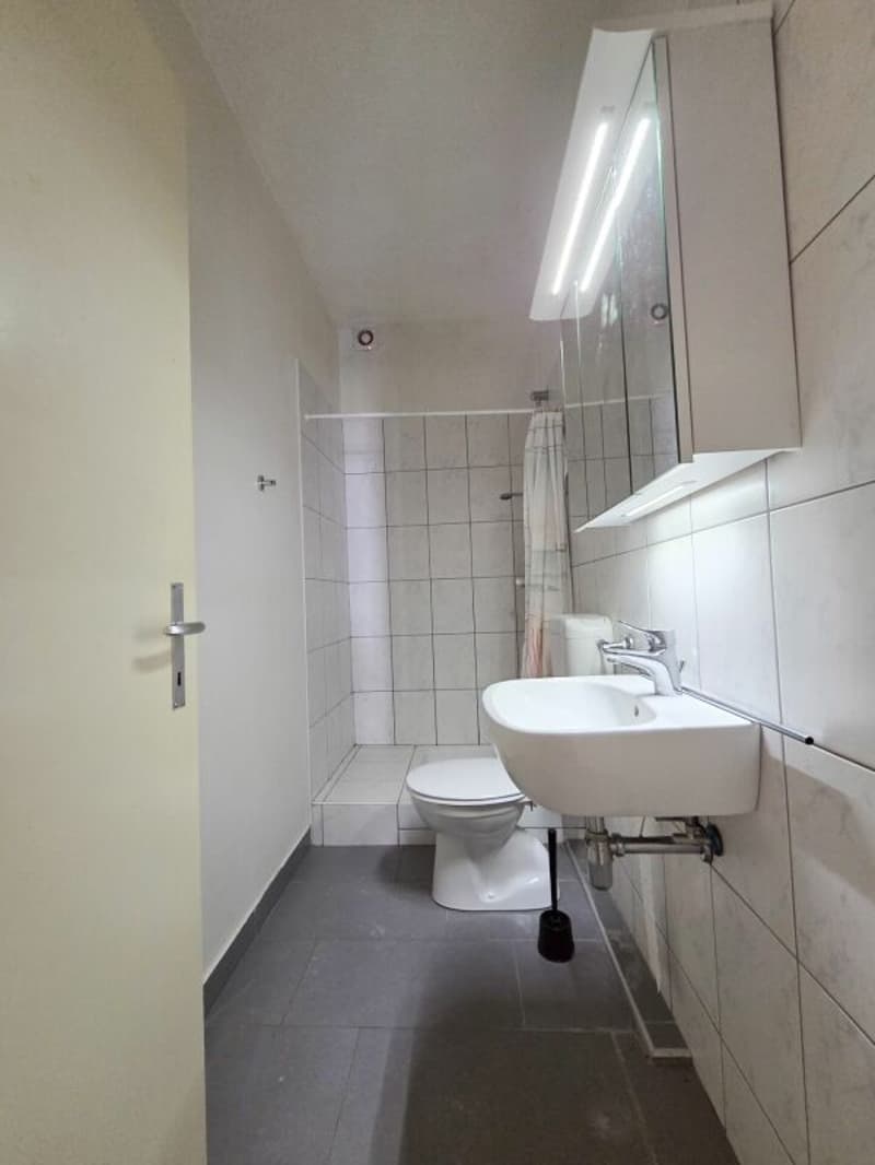 Appartamento di due locali al pianterreno (7)