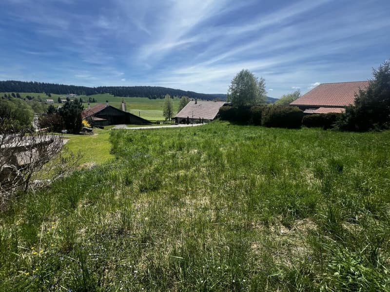 Building plot in the Low Density Residential Area (2)