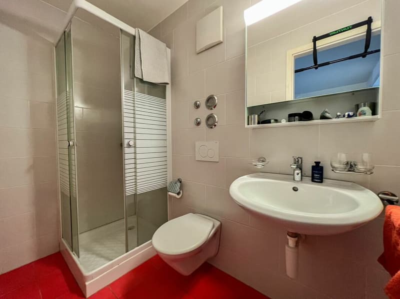Bel appartement de 4.5 pièces avec jardin privatif (8)