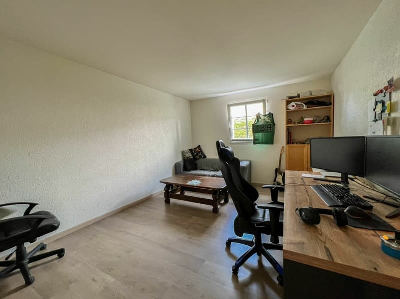 Bel appartement de 4.5 pièces avec jardin privatif (6)