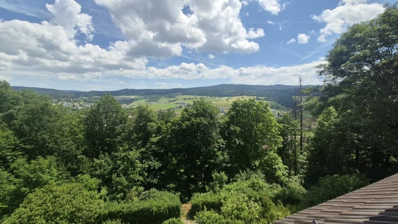 Bello appartamento di 2 camere con fascino ai margini della natura (12)