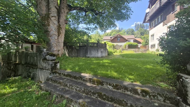 Bello appartamento di 2 camere con fascino ai margini della natura (11)