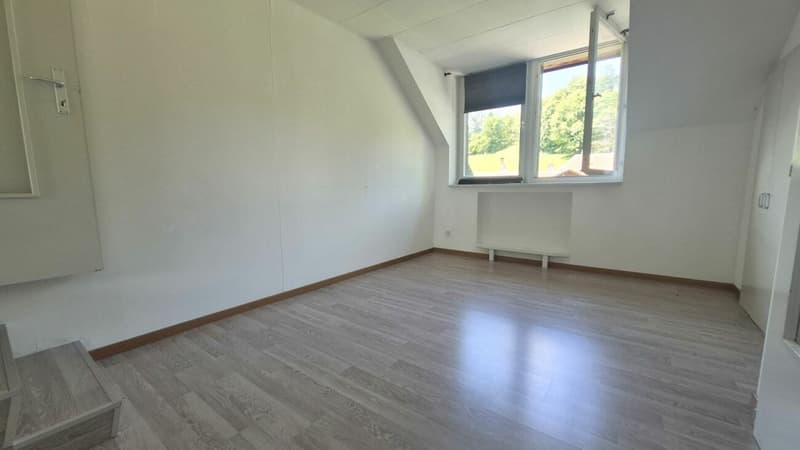 Bello appartamento di 2 camere con fascino ai margini della natura (6)