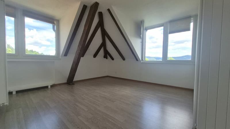 Bello appartamento di 2 camere con fascino ai margini della natura (3)