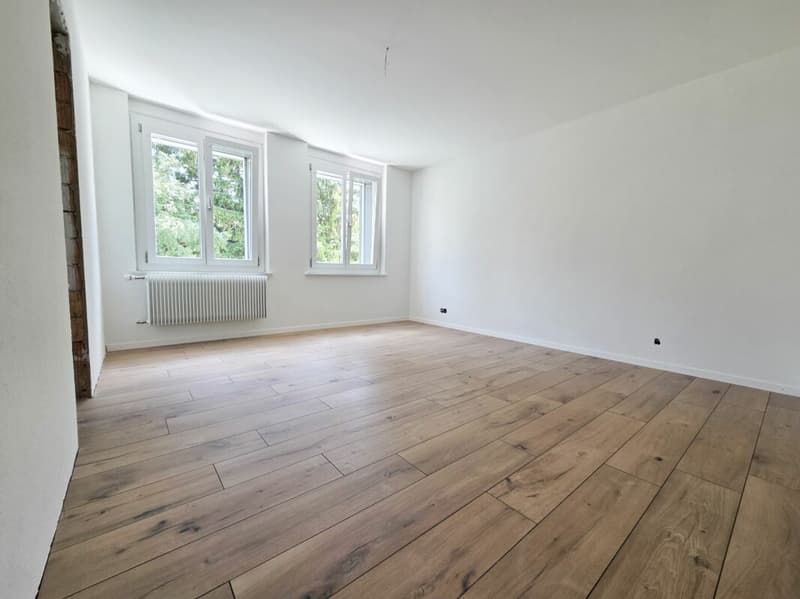 Appartamento di 4.5 locali completamente ristrutturato (9)