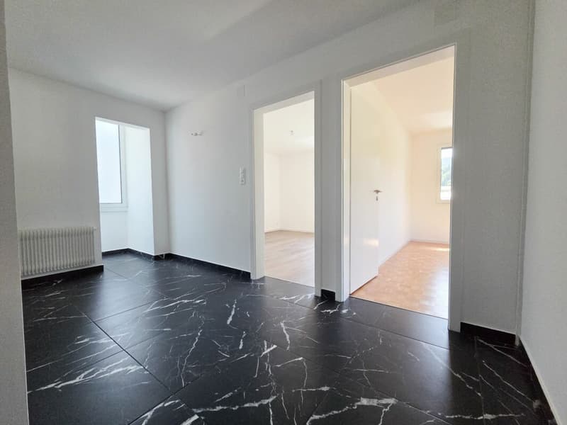 Appartamento di 3.5 locali completamente ristrutturato (12)