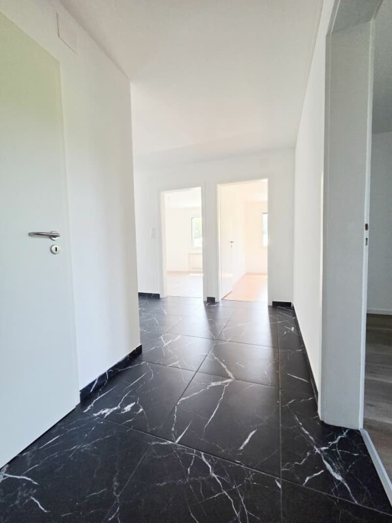 Appartamento di 3.5 locali completamente ristrutturato (11)