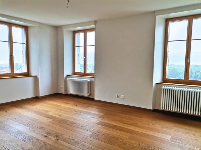 Superbe appartement de 5 pièces avec vue dégagée (6)