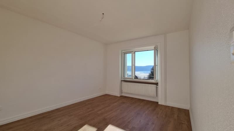 Bright 3-room apartment completely renovated (3)