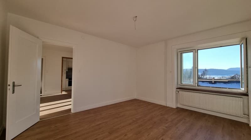 Bright 3-room apartment completely renovated (6)