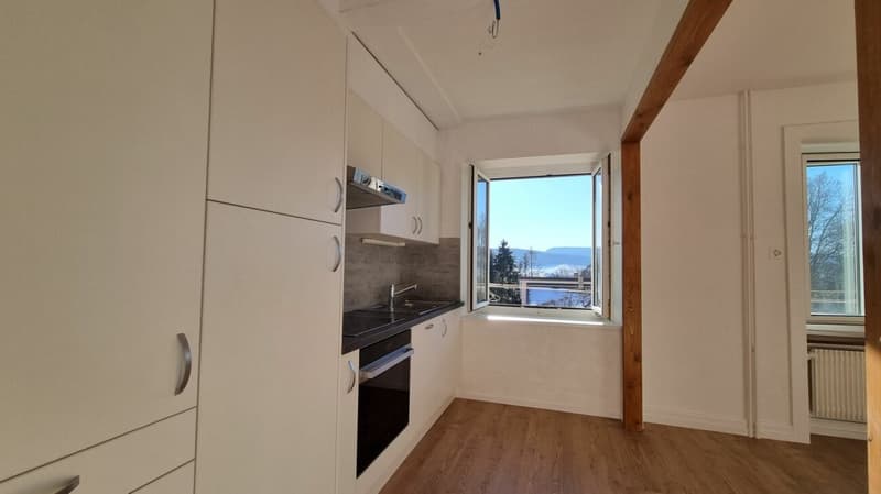 Bright 3-room apartment completely renovated (5)